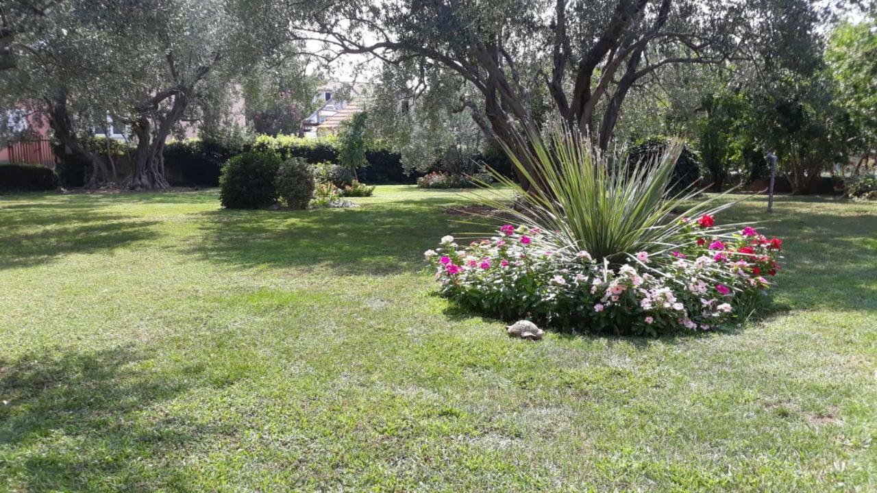 Apartmani Seka Vodice Bagian luar foto